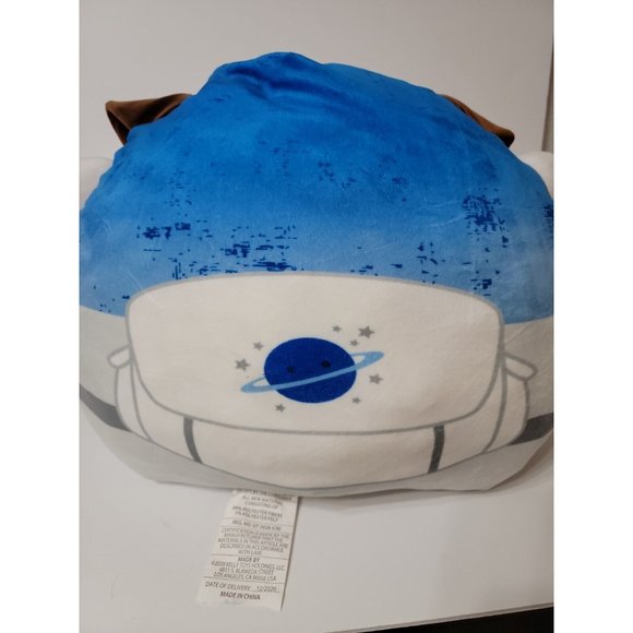 daryl the astronaut dog squishmallow